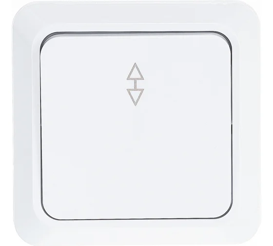 Фотография товара 'Ruvinil Э2-03-50 Эльба+.Выключатель 1-кл. проходной'