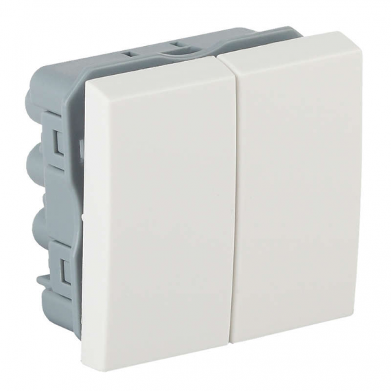 Фотография товара 'Ruvinil АДЛ 13-905 Выключатель модульный двухклавишный 45х45мм белый'